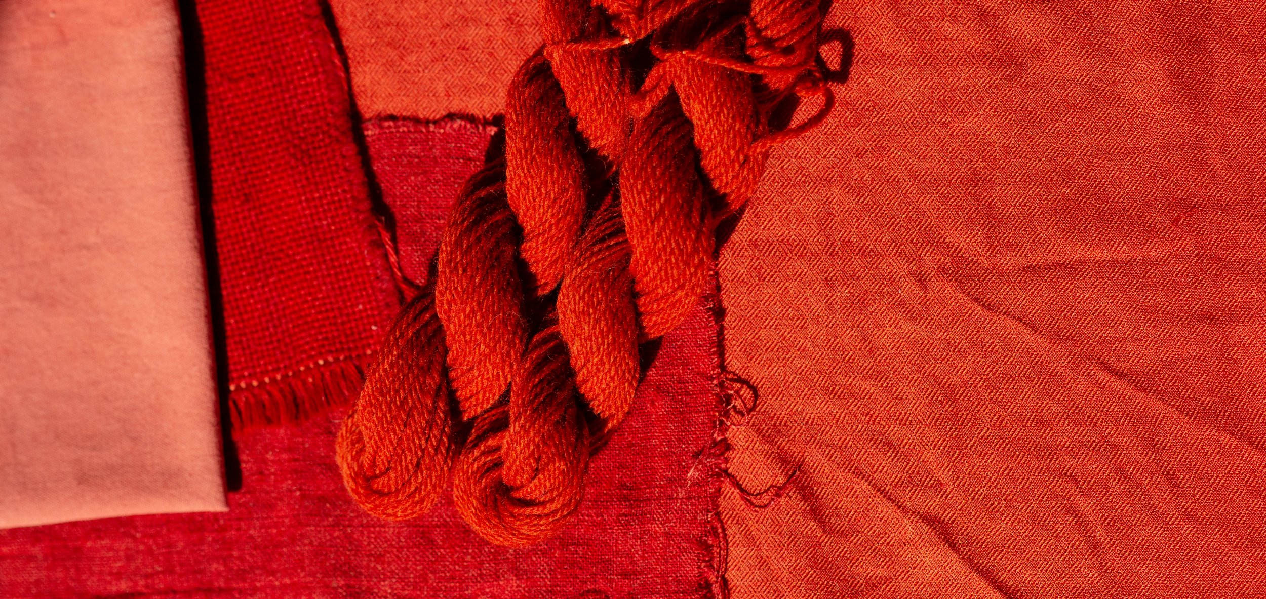 Dyeing With Madder Root (Rubia Tinctorum) — Shepherd Textiles